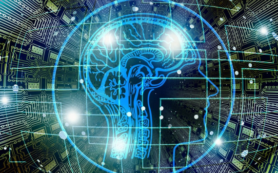 &#x0427;&#x0435;&#x0440;&#x043D;&#x044B;&#x0448;&#x0435;&#x043D;&#x043A;&#x043E;&#x3A;&#x20;&#x042D;&#x043A;&#x043E;&#x043D;&#x043E;&#x043C;&#x0438;&#x043A;&#x0430;&#x20;&#x0420;&#x043E;&#x0441;&#x0441;&#x0438;&#x0438;&#x20;&#x0438;&#x0437;&#x043C;&#x0435;&#x043D;&#x0438;&#x0442;&#x0441;&#x044F;&#x20;&#x0437;&#x0430;&#x20;&#x0441;&#x0447;&#x0435;&#x0442;&#x20;&#x0438;&#x0441;&#x043A;&#x0443;&#x0441;&#x0441;&#x0442;&#x0432;&#x0435;&#x043D;&#x043D;&#x043E;&#x0433;&#x043E;&#x20;&#x0438;&#x043D;&#x0442;&#x0435;&#x043B;&#x043B;&#x0435;&#x043A;&#x0442;&#x0430;