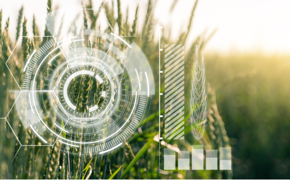 Сибирь – в лидерах по числу агротехнологических стартапов на территории России