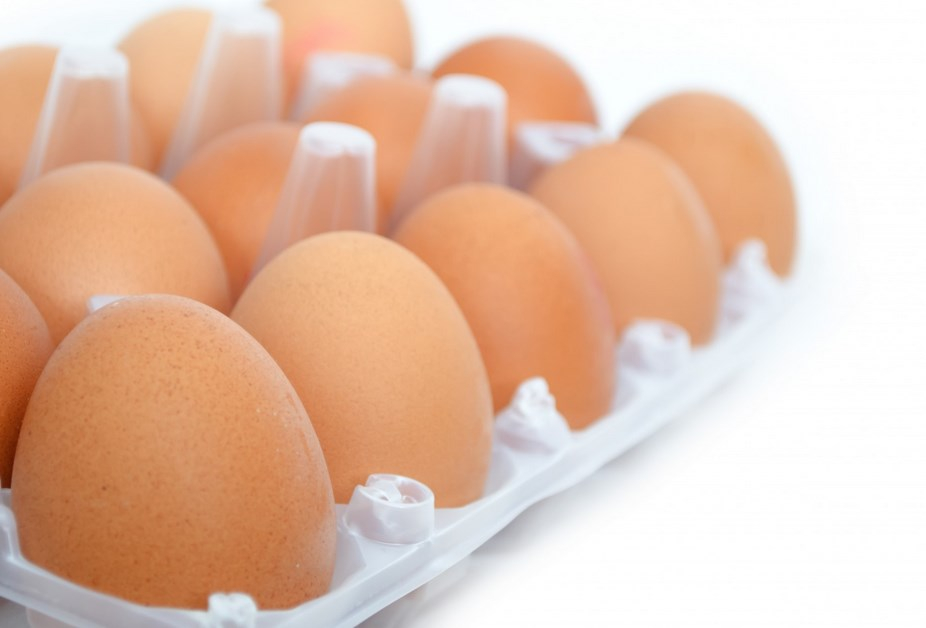 &#x0412;&#x20;&#x041D;&#x043E;&#x0432;&#x043E;&#x0441;&#x0438;&#x0431;&#x0438;&#x0440;&#x0441;&#x043A;&#x0435;&#x20;&#x0434;&#x0435;&#x0439;&#x0441;&#x0442;&#x0432;&#x0438;&#x044F;&#x20;&#x0432;&#x043B;&#x0430;&#x0441;&#x0442;&#x0435;&#x0439;&#x20;&#x043D;&#x0435;&#x20;&#x043E;&#x0441;&#x0442;&#x0430;&#x043D;&#x043E;&#x0432;&#x0438;&#x043B;&#x0438;&#x20;&#x0440;&#x043E;&#x0441;&#x0442;&#x20;&#x0446;&#x0435;&#x043D;&#x20;&#x043D;&#x0430;&#x20;&#x044F;&#x0439;&#x0446;&#x0430;