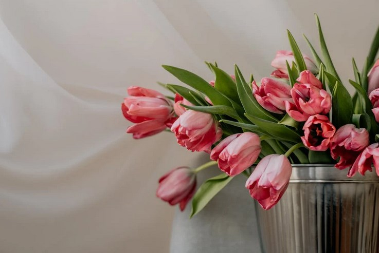 &#x041D;&#x043E;&#x0432;&#x043E;&#x0441;&#x0438;&#x0431;&#x0438;&#x0440;&#x0441;&#x043A;&#x0430;&#x044F;&#x20;&#x043E;&#x0431;&#x043B;&#x0430;&#x0441;&#x0442;&#x044C;&#x20;&#x044D;&#x043A;&#x0441;&#x043F;&#x043E;&#x0440;&#x0442;&#x0438;&#x0440;&#x043E;&#x0432;&#x0430;&#x043B;&#x0430;&#x20;&#x0431;&#x043E;&#x043B;&#x0435;&#x0435;&#x20;142&#x20;&#x0442;&#x044B;&#x0441;.&#x20;&#x0442;&#x044E;&#x043B;&#x044C;&#x043F;&#x0430;&#x043D;&#x043E;&#x0432;&#x20;&#x0432;&#x20;&#x041A;&#x0430;&#x0437;&#x0430;&#x0445;&#x0441;&#x0442;&#x0430;&#x043D;