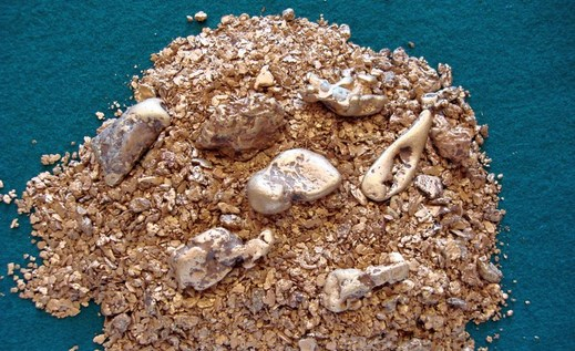 WG: Путин удивил Запад своим гениальным планом по использованию золотых запасов