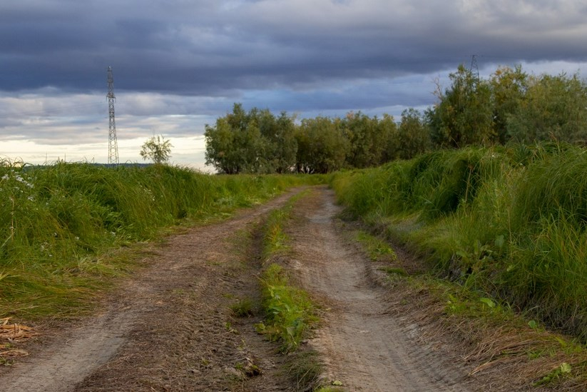&#x0412;&#x20;&#x041D;&#x043E;&#x0432;&#x043E;&#x0441;&#x0438;&#x0431;&#x0438;&#x0440;&#x0441;&#x043A;&#x043E;&#x0439;&#x20;&#x043E;&#x0431;&#x043B;&#x0430;&#x0441;&#x0442;&#x0438;&#x20;&#x0432;&#x044B;&#x0434;&#x0435;&#x043B;&#x044F;&#x0442;&#x20;&#x0443;&#x0447;&#x0430;&#x0441;&#x0442;&#x043E;&#x043A;&#x20;&#x0434;&#x043B;&#x044F;&#x20;&#x0441;&#x0442;&#x0440;&#x043E;&#x0438;&#x0442;&#x0435;&#x043B;&#x044C;&#x0441;&#x0442;&#x0432;&#x0430;&#x20;&#x0437;&#x0430;&#x0432;&#x043E;&#x0434;&#x0430;&#x20;&#x0433;&#x0440;&#x0443;&#x0437;&#x043E;&#x0432;&#x0438;&#x043A;&#x043E;&#x0432;&#x20;&#x0437;&#x0430;&#x20;20&#x20;&#x043C;&#x043B;&#x0440;&#x0434;&#x20;&#x0440;&#x0443;&#x0431;&#x043B;&#x0435;&#x0439;