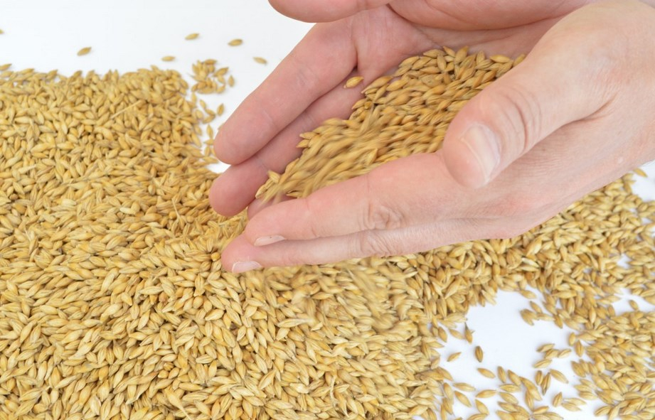 &#x0418;&#x043D;&#x0432;&#x0435;&#x0441;&#x0442;&#x043E;&#x0440;&#x20;&#x0438;&#x0437;&#x20;&#x041A;&#x0438;&#x0442;&#x0430;&#x044F;&#x20;&#x043D;&#x0430;&#x0437;&#x0432;&#x0430;&#x043B;&#x20;&#x043F;&#x0440;&#x0438;&#x0447;&#x0438;&#x043D;&#x044B;&#x20;&#x0441;&#x043E;&#x0437;&#x0434;&#x0430;&#x043D;&#x0438;&#x044F;&#x20;&#x0437;&#x0430;&#x0432;&#x043E;&#x0434;&#x0430;&#x20;&#x0432;&#x20;&#x041D;&#x043E;&#x0432;&#x043E;&#x0441;&#x0438;&#x0431;&#x0438;&#x0440;&#x0441;&#x043A;&#x043E;&#x0439;&#x20;&#x043E;&#x0431;&#x043B;&#x0430;&#x0441;&#x0442;&#x0438;