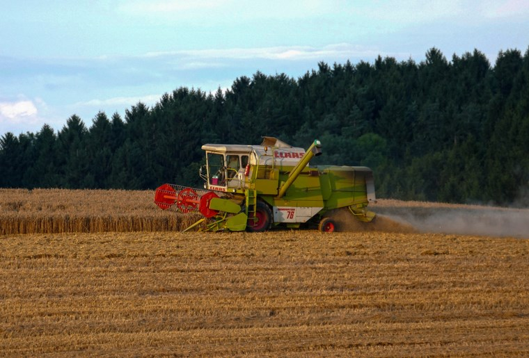 &#x0412;&#x20;&#x041D;&#x043E;&#x0432;&#x043E;&#x0441;&#x0438;&#x0431;&#x0438;&#x0440;&#x0441;&#x043A;&#x043E;&#x0439;&#x20;&#x043E;&#x0431;&#x043B;&#x0430;&#x0441;&#x0442;&#x0438;&#x20;&#x043F;&#x0440;&#x043E;&#x0432;&#x0435;&#x0434;&#x0443;&#x0442;&#x20;&#x0441;&#x0430;&#x043C;&#x044B;&#x0439;&#x20;&#x043A;&#x0440;&#x0443;&#x043F;&#x043D;&#x044B;&#x0439;&#x20;&#x0430;&#x0433;&#x0440;&#x0430;&#x0440;&#x043D;&#x044B;&#x0439;&#x20;&#x0444;&#x043E;&#x0440;&#x0443;&#x043C;&#x20;&#x0432;&#x20;&#x0420;&#x043E;&#x0441;&#x0441;&#x0438;&#x0438;