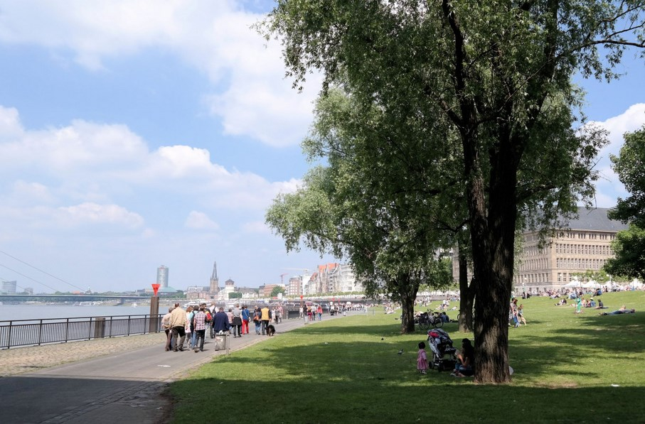 &#x0412;&#x20;&#x041D;&#x043E;&#x0432;&#x043E;&#x0441;&#x0438;&#x0431;&#x0438;&#x0440;&#x0441;&#x043A;&#x0435;&#x20;248,5&#x20;&#x043C;&#x043B;&#x043D;&#x20;&#x0440;&#x0443;&#x0431;&#x043B;&#x0435;&#x0439;&#x20;&#x0432;&#x044B;&#x0434;&#x0435;&#x043B;&#x0438;&#x043B;&#x0438;&#x20;&#x043D;&#x0430;&#x20;&#x0431;&#x043B;&#x0430;&#x0433;&#x043E;&#x0443;&#x0441;&#x0442;&#x0440;&#x043E;&#x0439;&#x0441;&#x0442;&#x0432;&#x043E;&#x20;&#x043F;&#x0430;&#x0440;&#x043A;&#x0430;&#x20;&#x00AB;&#x0427;&#x0435;&#x043C;&#x0441;&#x043A;&#x043E;&#x0439;&#x20;&#x0431;&#x0435;&#x0440;&#x0435;&#x0433;&#x00BB;