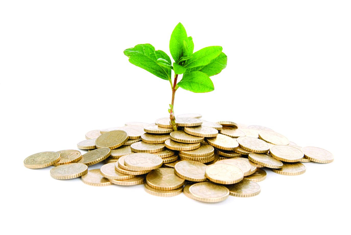 &#x0412;&#x20;&#x041D;&#x043E;&#x0432;&#x043E;&#x0441;&#x0438;&#x0431;&#x0438;&#x0440;&#x0441;&#x043A;&#x043E;&#x0439;&#x20;&#x043E;&#x0431;&#x043B;&#x0430;&#x0441;&#x0442;&#x0438;&#x20;&#x043E;&#x0431;&#x044A;&#x0435;&#x043C;&#x20;&#x0438;&#x043D;&#x0432;&#x0435;&#x0441;&#x0442;&#x0438;&#x0446;&#x0438;&#x0439;&#x20;&#x0434;&#x043E;&#x0441;&#x0442;&#x0438;&#x0433;&#x20;&#x0440;&#x0435;&#x043A;&#x043E;&#x0440;&#x0434;&#x043D;&#x044B;&#x0445;&#x20;590&#x20;&#x043C;&#x043B;&#x0440;&#x0434;&#x20;&#x0440;&#x0443;&#x0431;&#x043B;&#x0435;&#x0439;