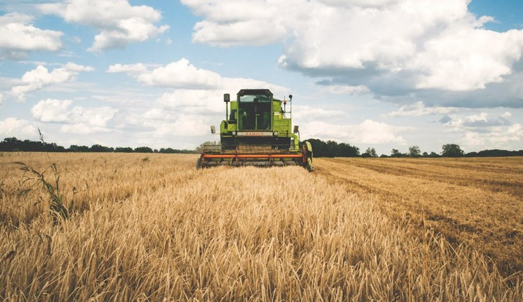В Новосибирской области на поддержку сельского хозяйства направят более 5 млрд рублей