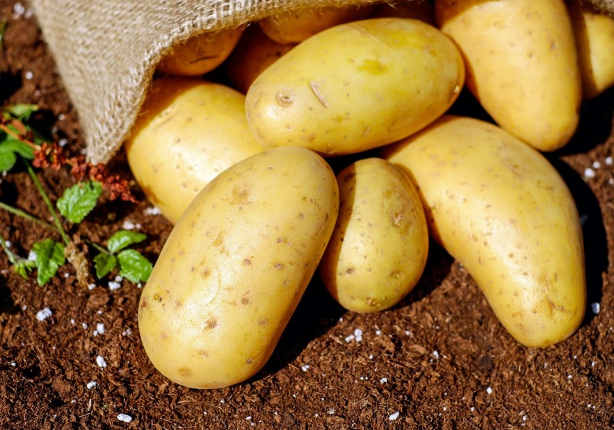 В Новосибирской области высказались о росте цен на продукцию АПК