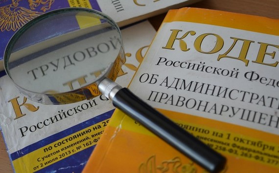 Экономист Коган назвал «микроскопическим» эффект от налога на бездельников