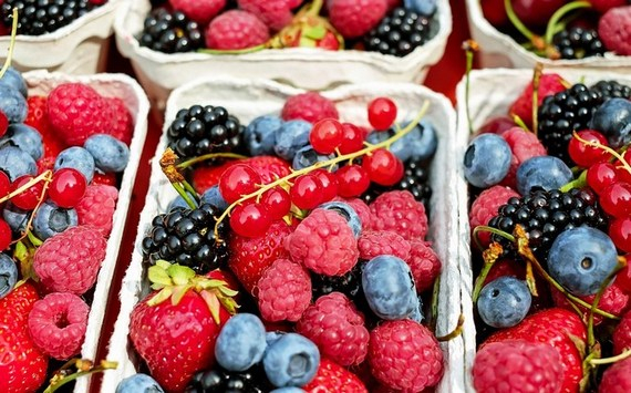 &#x042D;&#x043A;&#x043E;&#x043D;&#x043E;&#x043C;&#x0438;&#x0441;&#x0442;&#x20;&#x041A;&#x0443;&#x043B;&#x044C;&#x0431;&#x0430;&#x043A;&#x0430;&#x20;&#x0441;&#x043F;&#x0440;&#x043E;&#x0433;&#x043D;&#x043E;&#x0437;&#x0438;&#x0440;&#x043E;&#x0432;&#x0430;&#x043B;&#x20;&#x043F;&#x043E;&#x0434;&#x043E;&#x0440;&#x043E;&#x0436;&#x0430;&#x043D;&#x0438;&#x0435;&#x20;&#x044F;&#x0433;&#x043E;&#x0434;&#x20;&#x0438;&#x20;&#x0444;&#x0440;&#x0443;&#x043A;&#x0442;&#x043E;&#x0432;&#x20;&#x0432;&#x20;&#x0420;&#x043E;&#x0441;&#x0441;&#x0438;&#x0438;