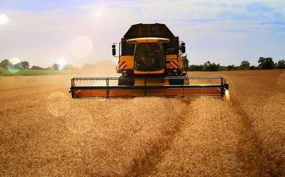 Эксперт Тихонов спрогнозировал плохой урожай зерновых в России