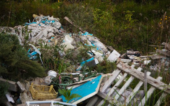В Новосибирске активисты назвали приостановку «мусорной» концессии попыткой прекратить протесты