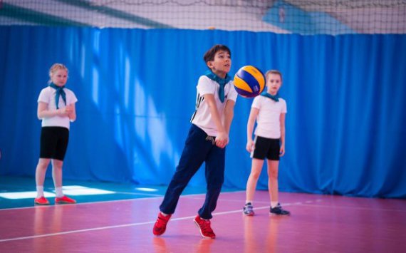 На строительство центра волейбола в Новосибирске правительство РФ выделило 500 млн рублей