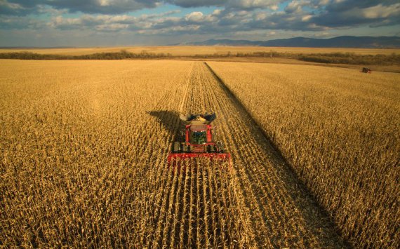 В Новосибирской области фермеры получат дополнительные субсидии