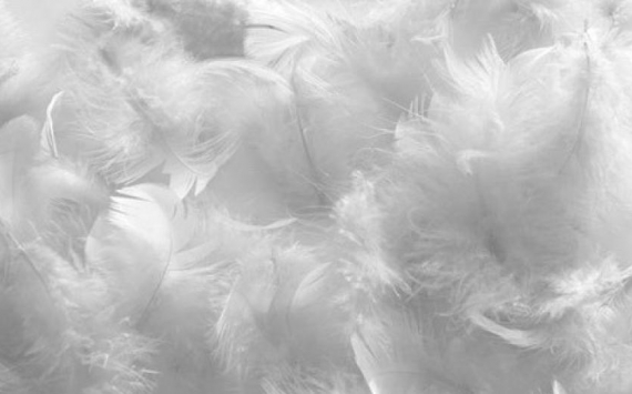 &#x041D;&#x043E;&#x0432;&#x043E;&#x0441;&#x0438;&#x0431;&#x0438;&#x0440;&#x0441;&#x043A;&#x0430;&#x044F;&#x20;&#x043E;&#x0431;&#x043B;&#x0430;&#x0441;&#x0442;&#x044C;&#x20;&#x043D;&#x0430;&#x043C;&#x0435;&#x0440;&#x0435;&#x043D;&#x0430;&#x20;&#x043F;&#x043E;&#x0441;&#x0442;&#x0430;&#x0432;&#x043B;&#x044F;&#x0442;&#x044C;&#x20;&#x043F;&#x0443;&#x0445;&#x20;&#x0432;&#x20;&#x042F;&#x043F;&#x043E;&#x043D;&#x0438;&#x044E;