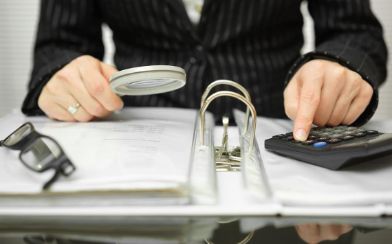 В Новосибирской области эффект от налоговых проверок вырос на 56%