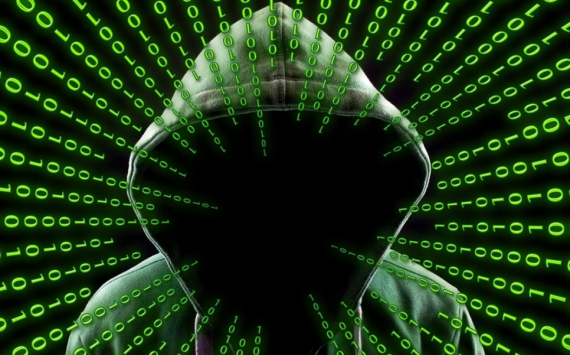 В Новосибирской области количество актов мошенничества выросло на 40%