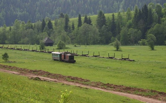 Власти Новосибирской области потратят более 500 млн на развитие села