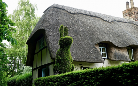 В Новосибирской области на 32% выросло число выставленных на продажу коттеджей