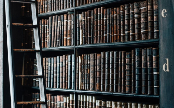 В центре Новосибирска построят библиотеку стоимостью миллиард рублей 